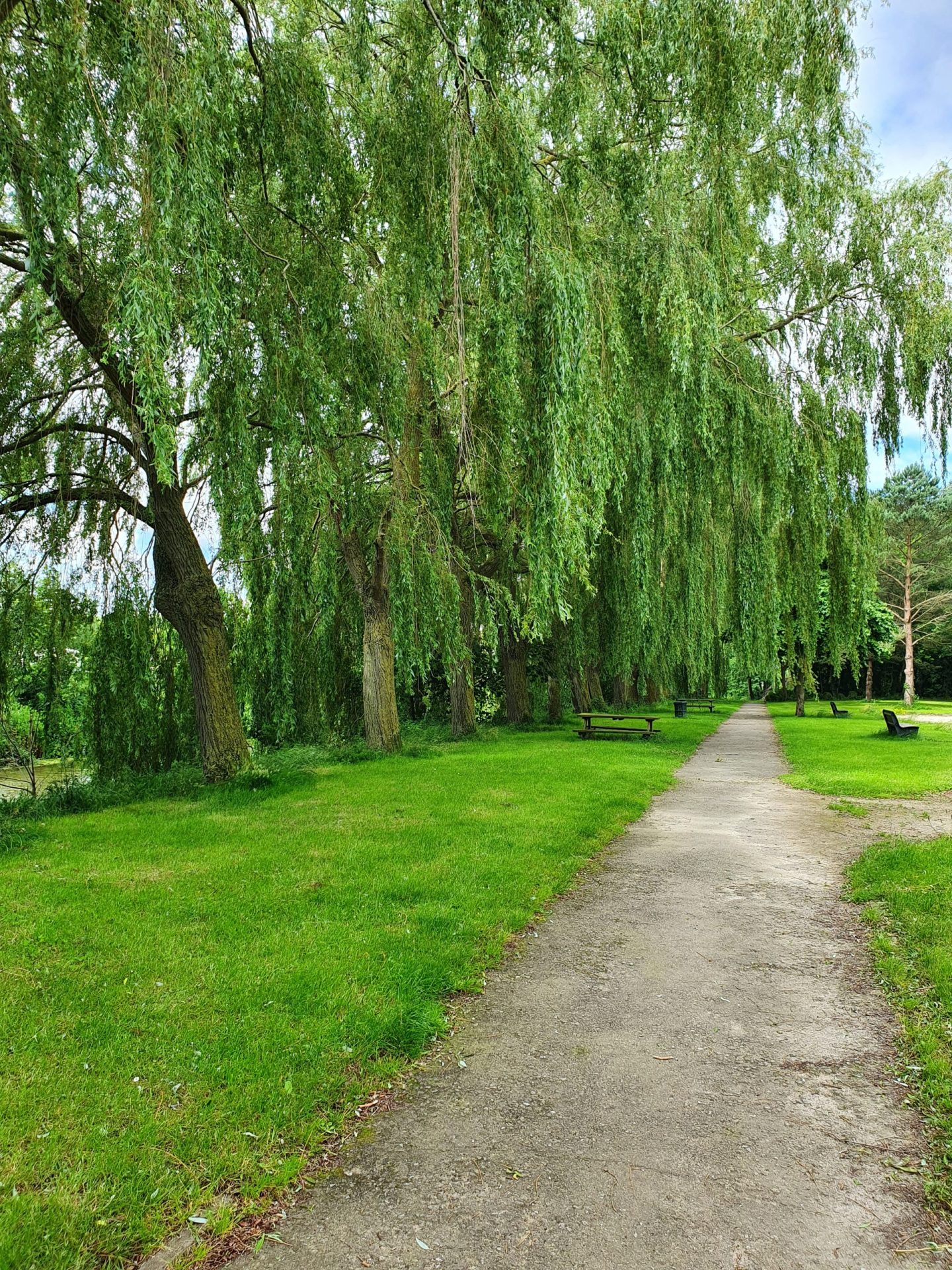 PARC DES MOERES 5