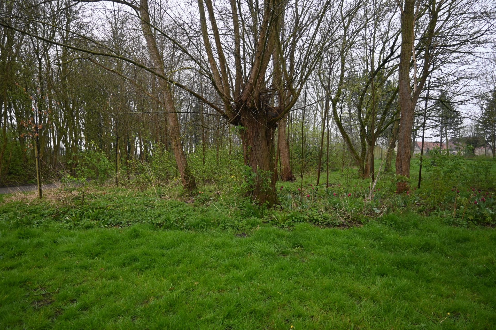 Parc des Moëres