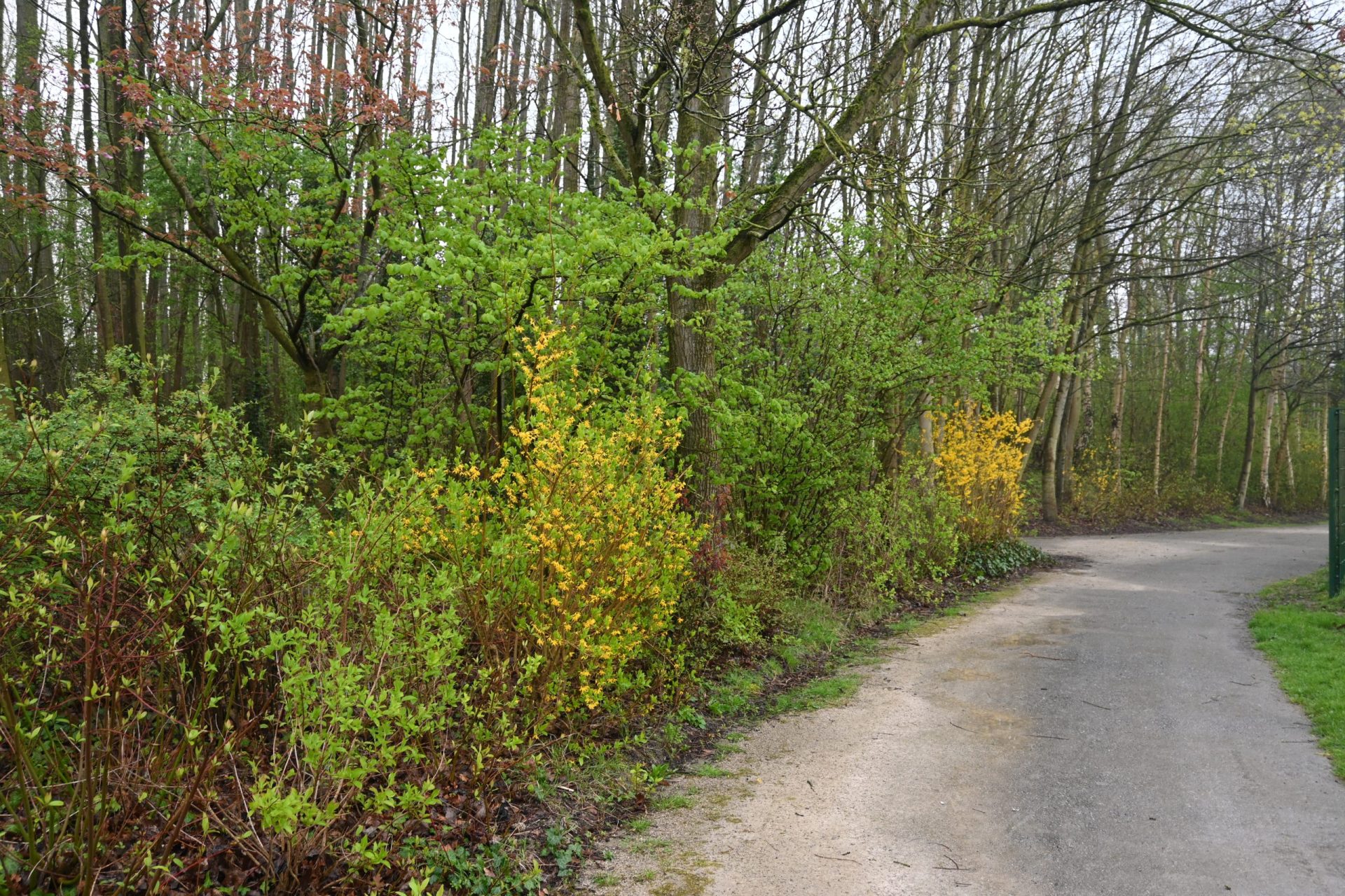 Parc des Moëres