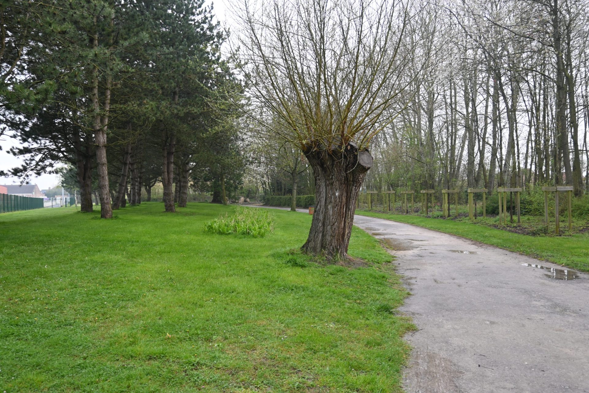 Parc des Moeres (11)
