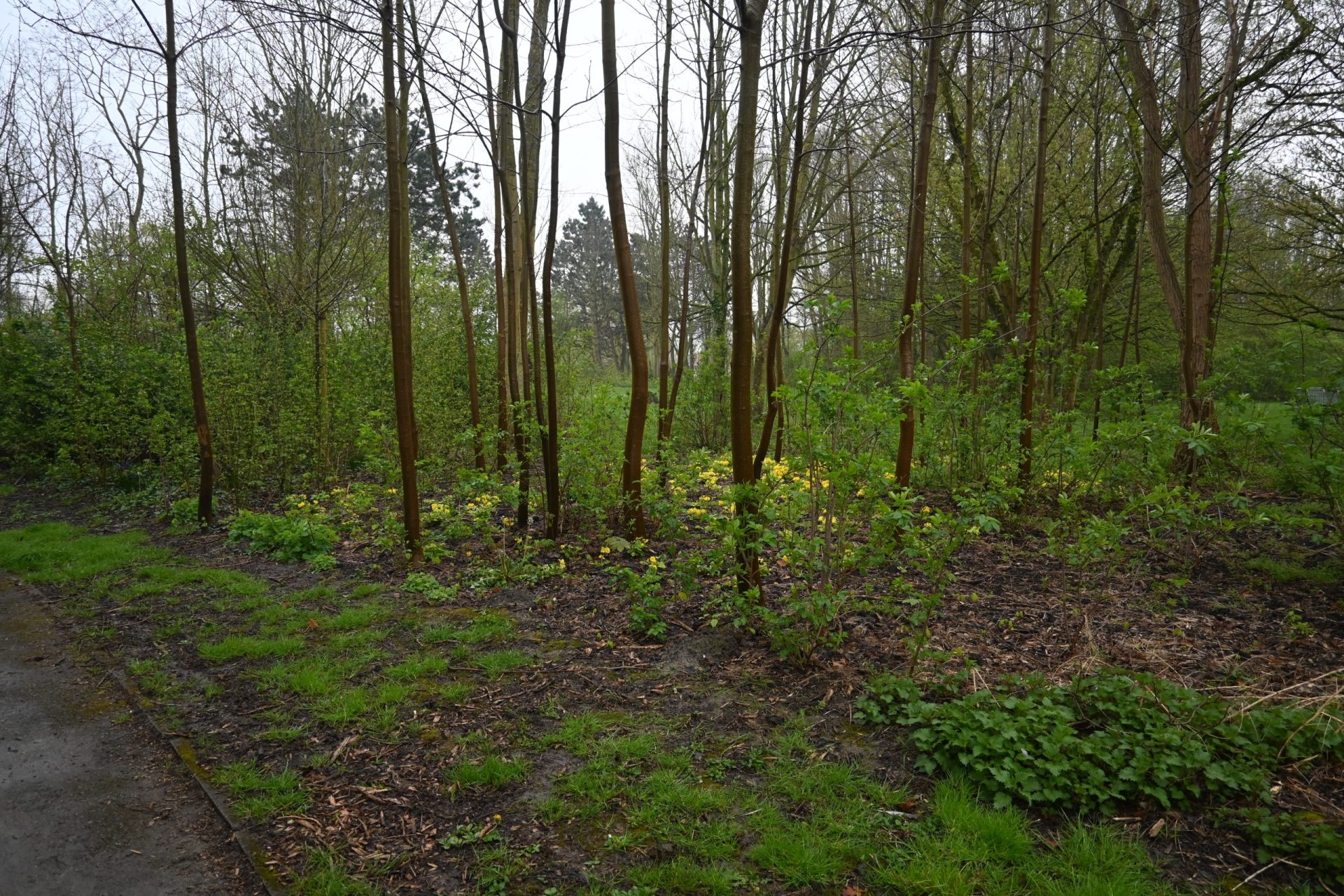 Parc des Moëres