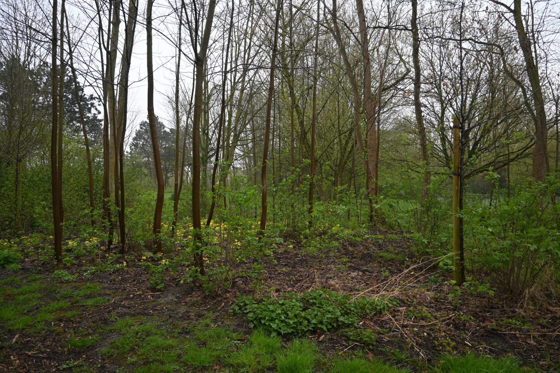 Parc des Moeres (4)