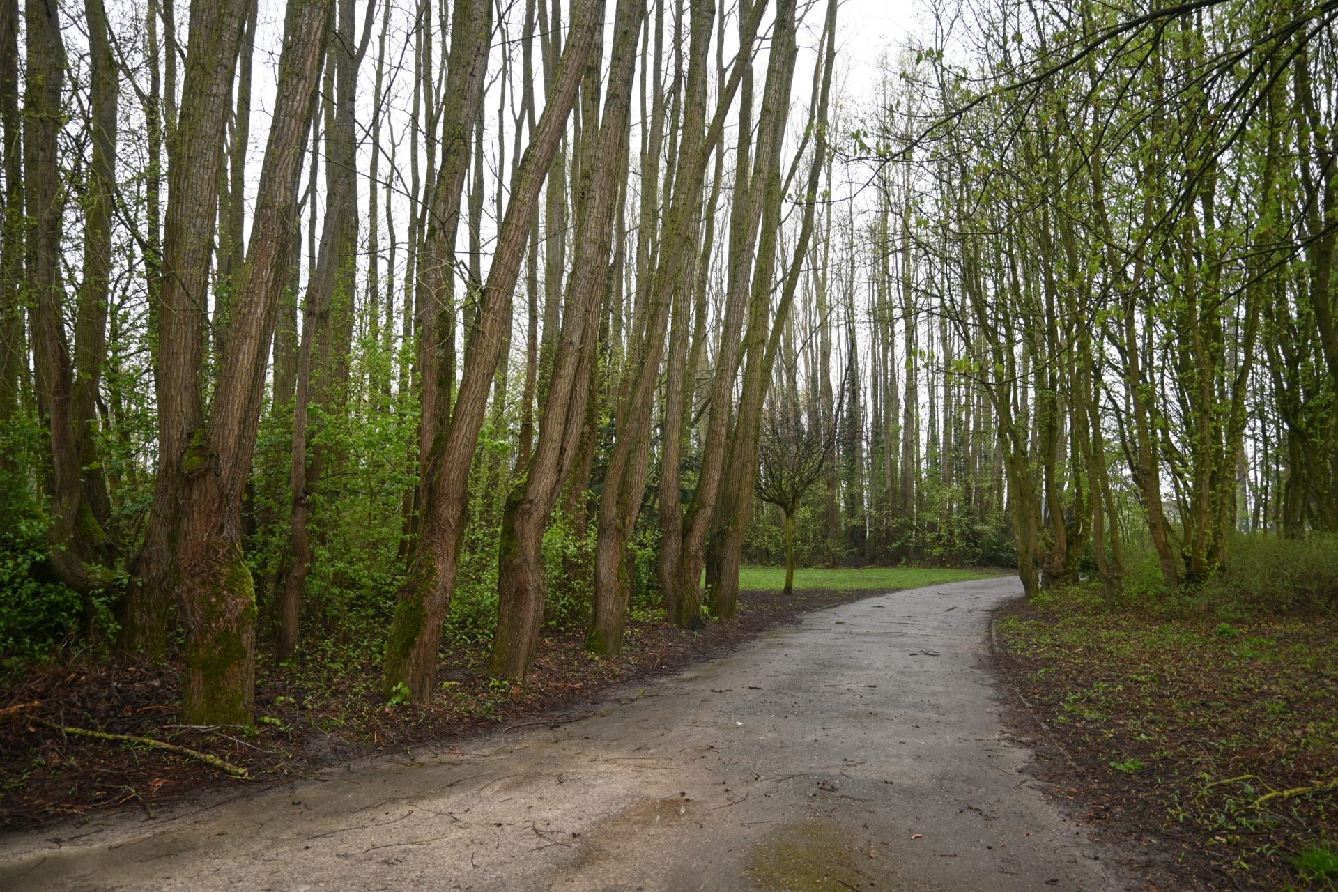 Parc des Moëres