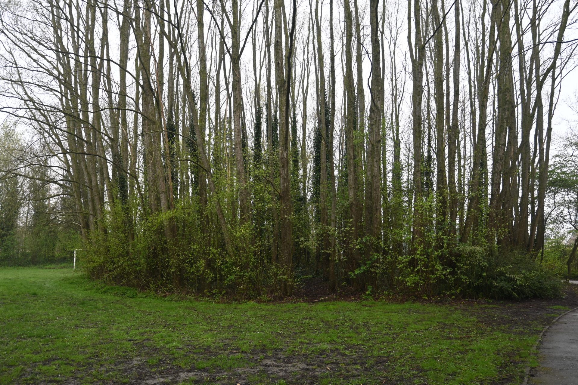 Parc des Moeres (9)